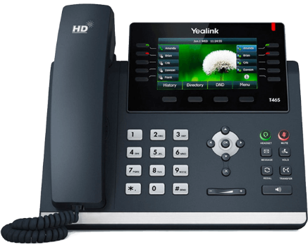 Polycom VVX 300 2-Line IP Phone